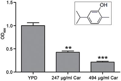 Carvacrol Induces Candida albicans Apoptosis Associated With Ca2+/Calcineurin Pathway